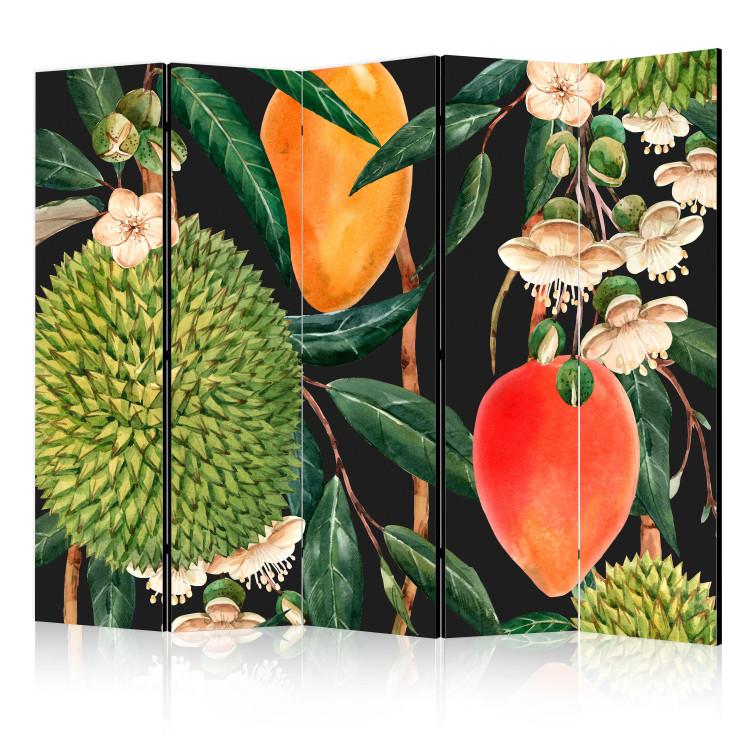 Room Divider Exotic Fruits - Colorful Tropical Flora II [Room Dividers]