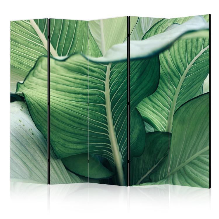 Room Divider Large Leaves - Floral Motif in Shades of Green II [Room Dividers]