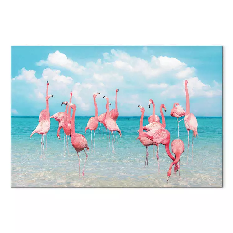 Tropical flamingos - birds in crystal clear waters under a blue sky