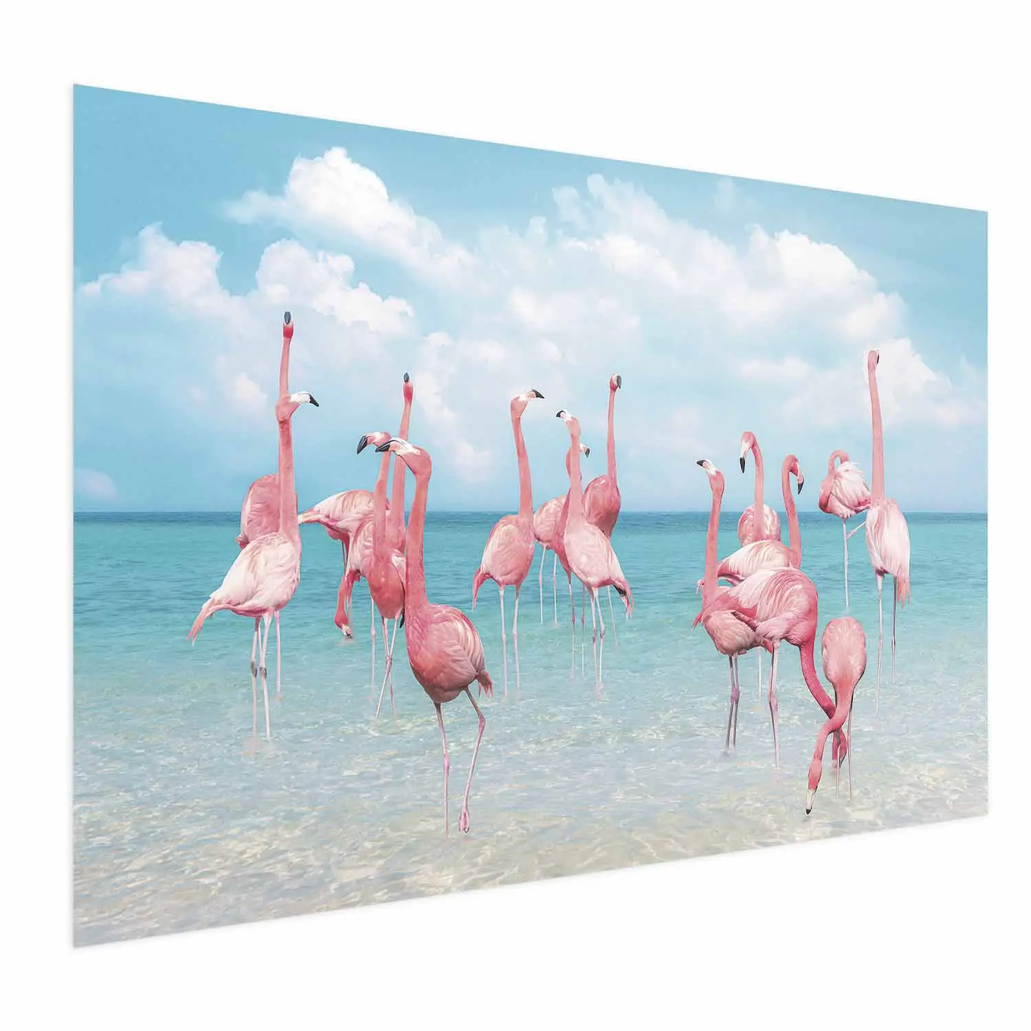 Poster Flamingos in blue water tropical birds under a blue sky