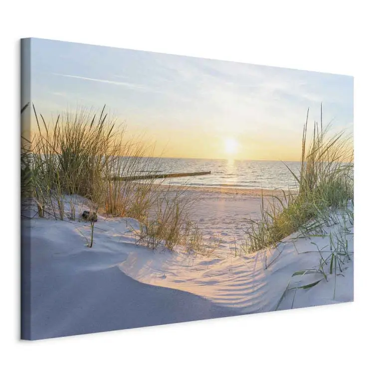Beach Dreams - Calm Sea with Grass Lit by Setting Sun