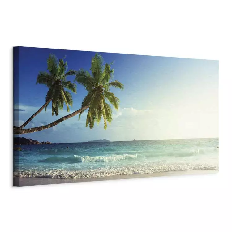 Tropical Beach - palm trees by the sea with a blue sky
