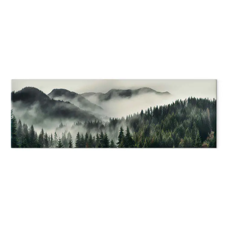 Foggy Hills - Mountain Landscape Surrounded by Forests