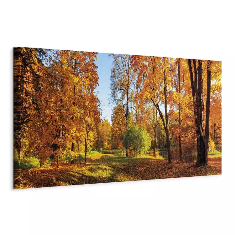 Colors of Autumn - Diverse Shades in a Sunny Park