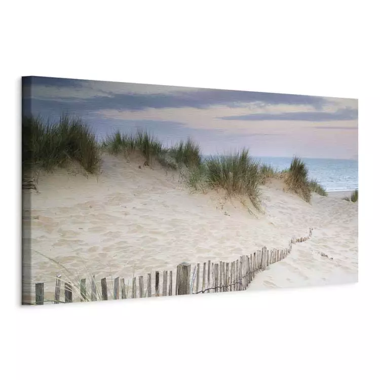 Dunes and Sea - Charming Sandy Hills by the Ocean