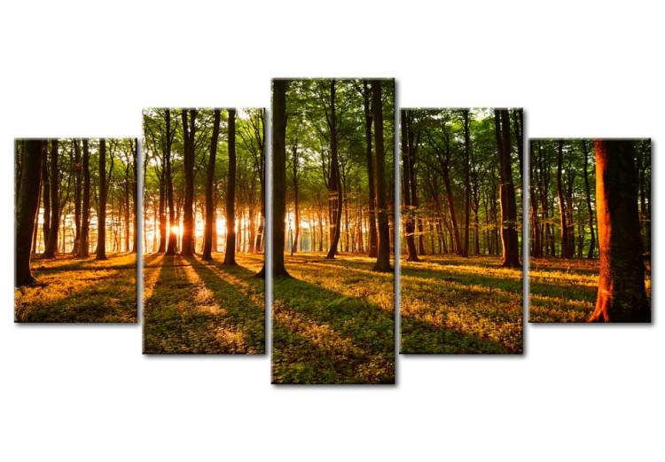 Canvas Print Sunset in the forest