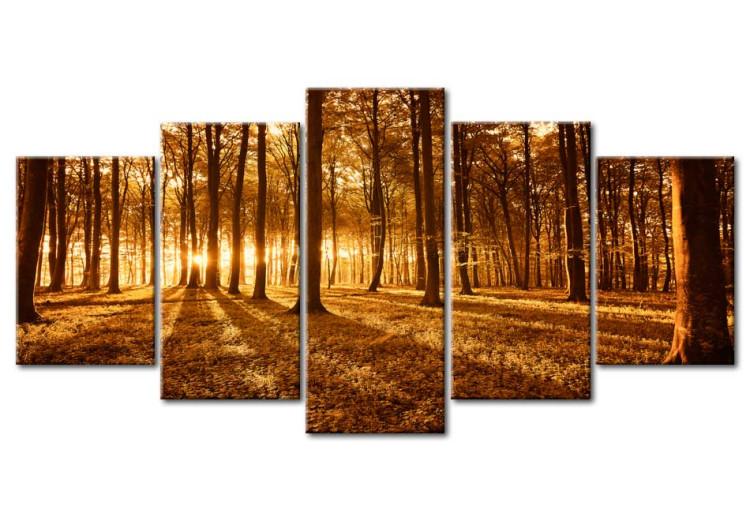 Canvas Print Amber forest