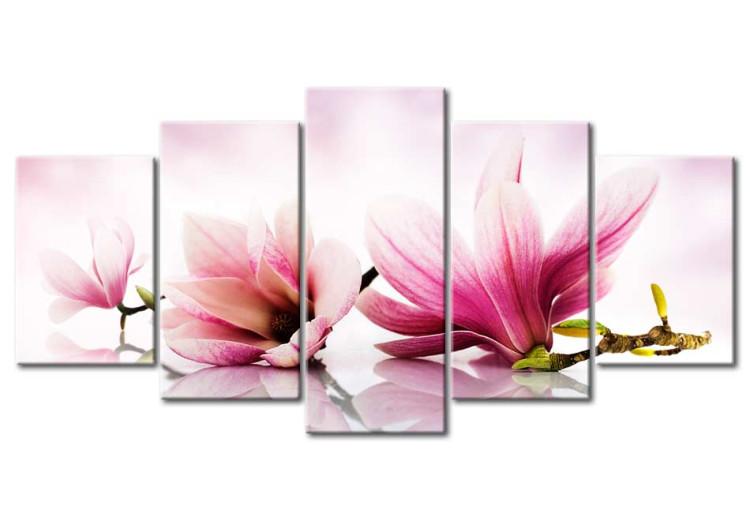Canvas Print Magnolias: pink flowers