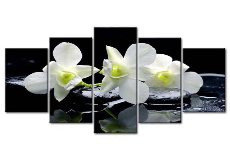 Canvas Print Melancholic orchids