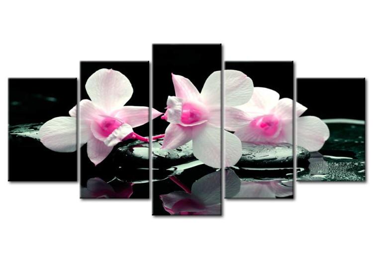 Canvas Print Rest of orchids