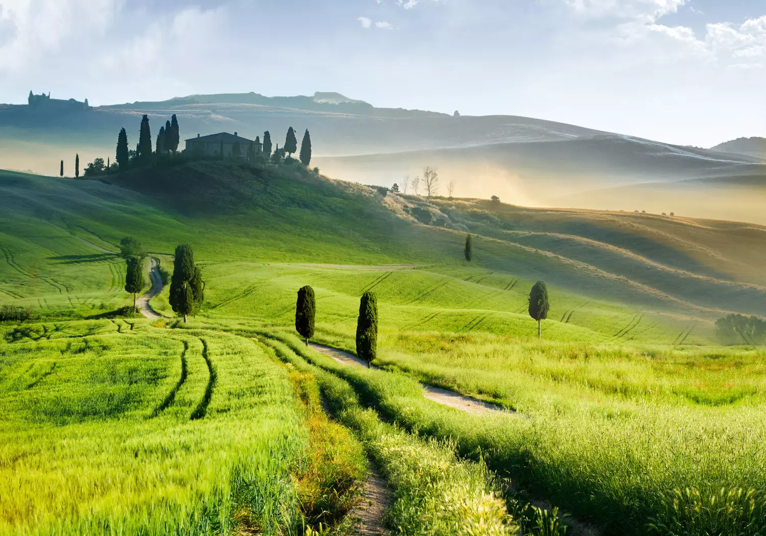 Italian View