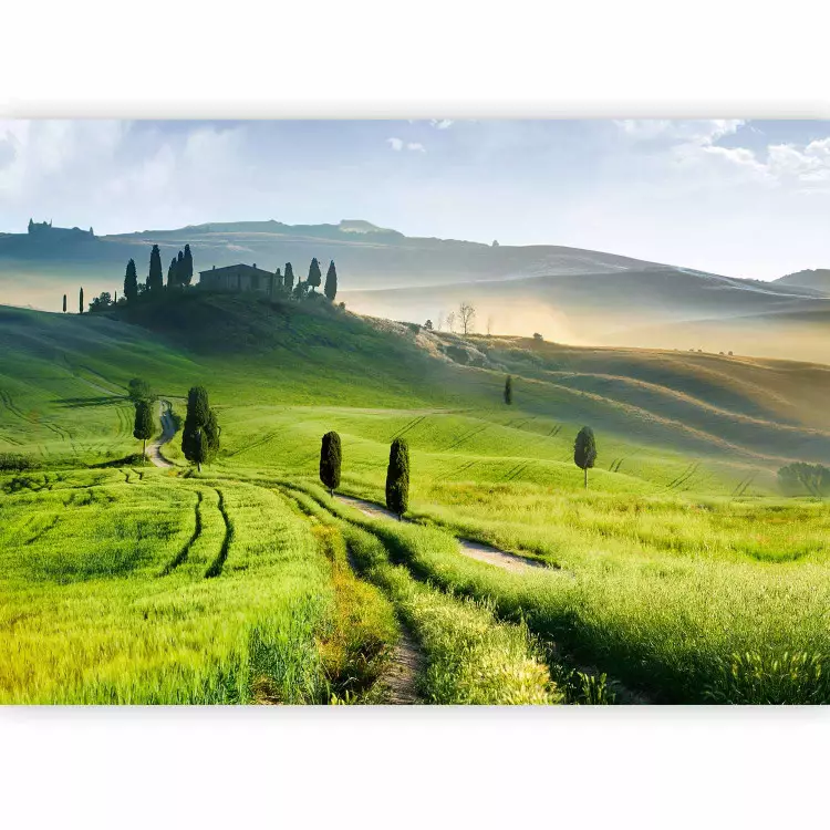 Italian Tuscany - Landscape of Countryside with Trees on Green Meadows