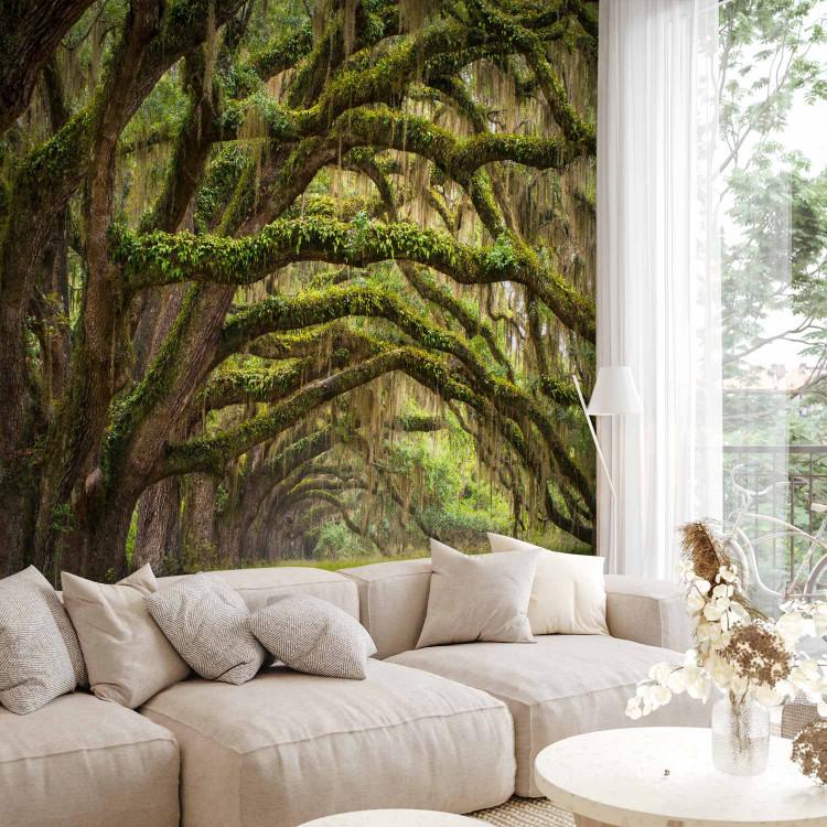 Wall Mural Tree embrace
