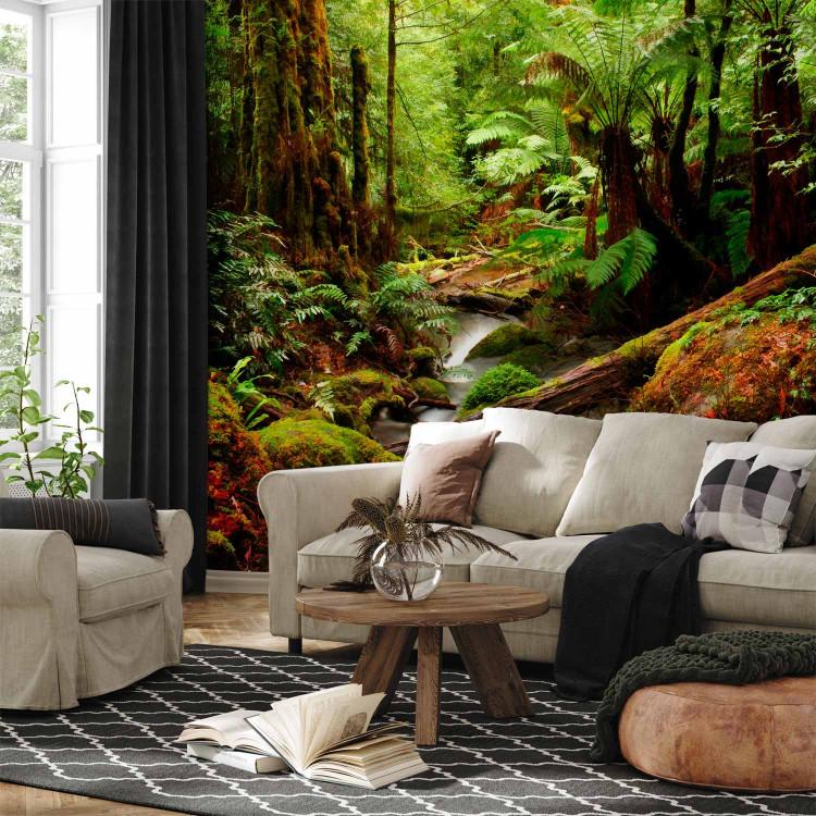 Page 4 Forest Wall Murals, Tree Mural, Wall Murals Trees, Forest