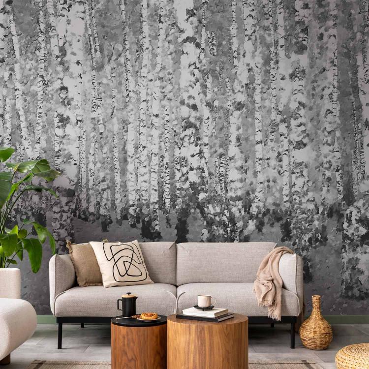 Wall murals Birches, birch tree wall mural, birches wall mural, silver