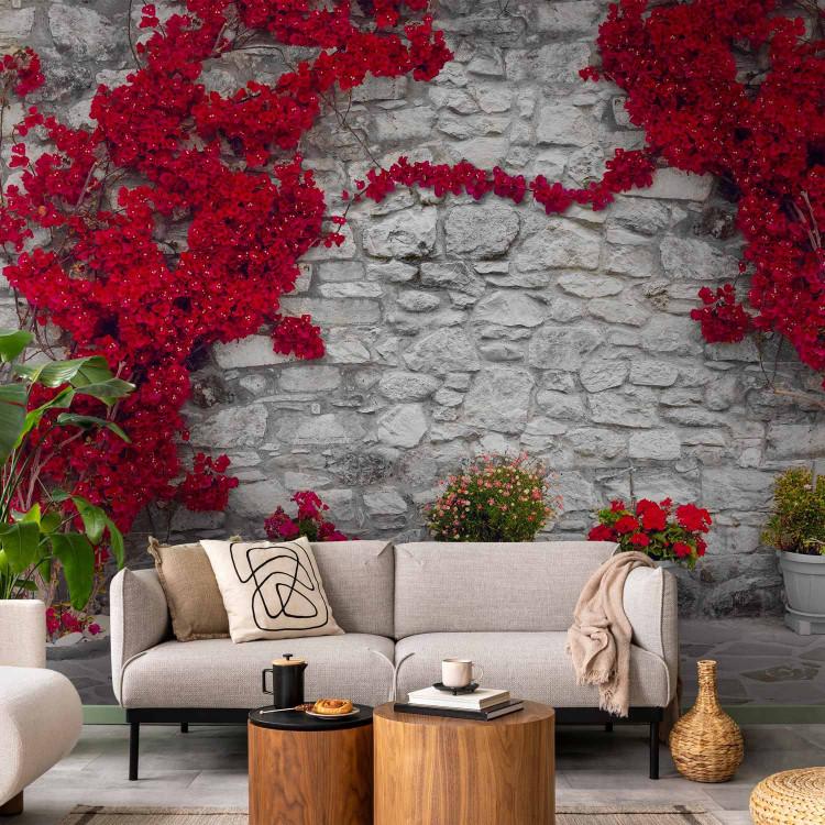 Wall Mural Warm afternoon with carmine accent