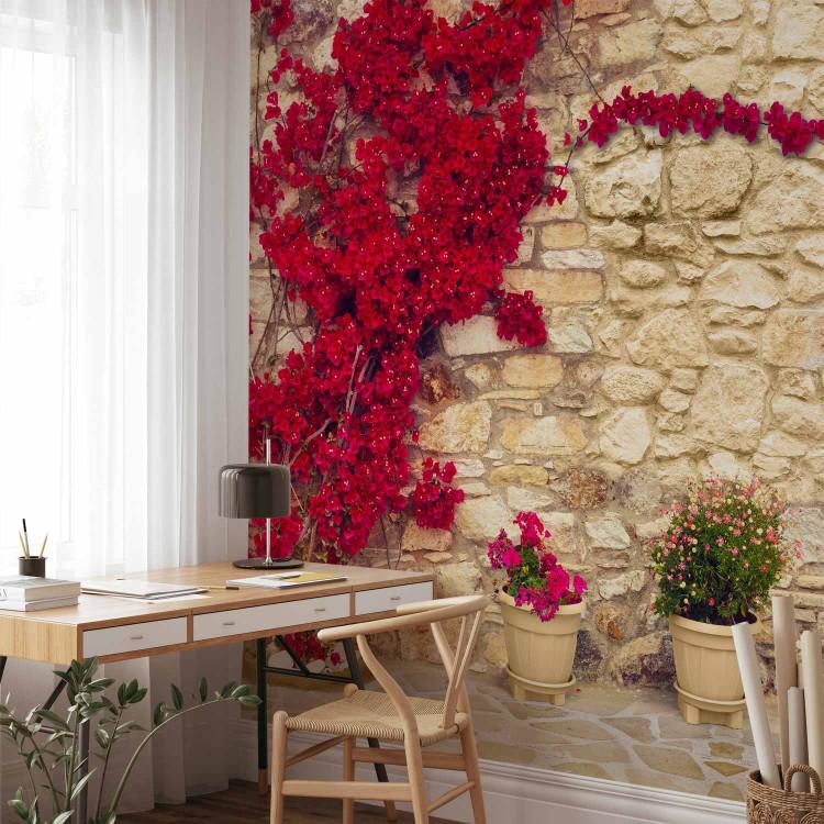 Wall Mural Warm Afternoon - Design with Stone Wall and Red Ivy