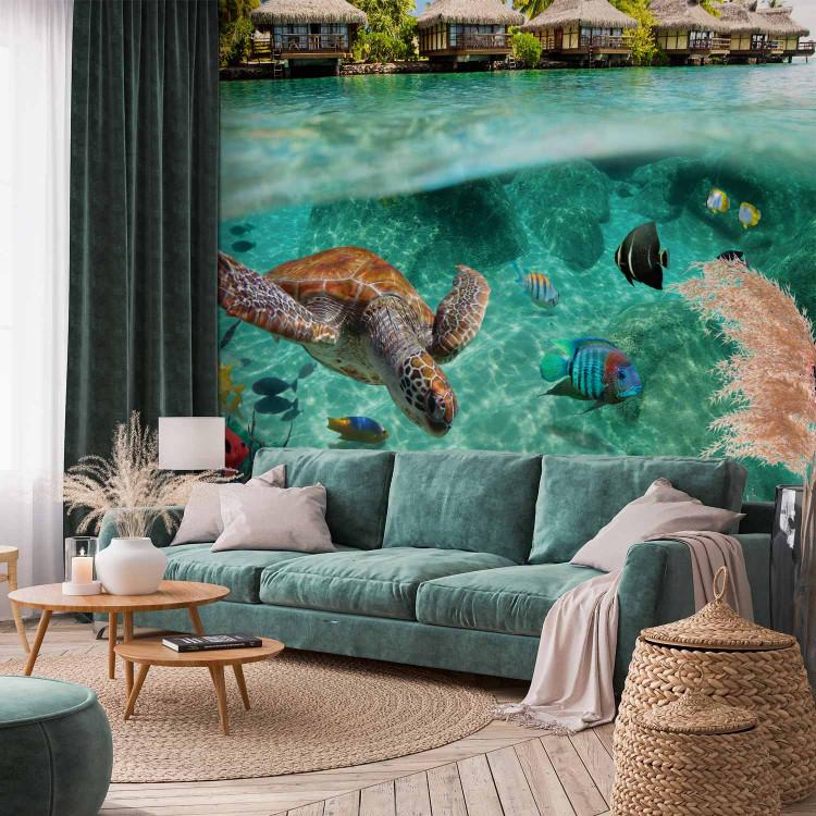 Wall Mural Paradise Maldives - Seascape on a reef with fish and turtles