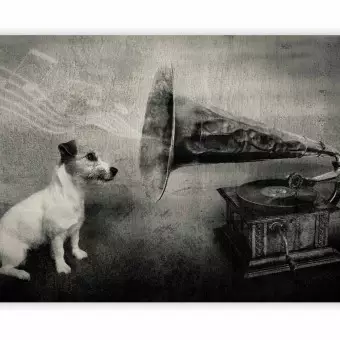 Black and white dog wall art 2025