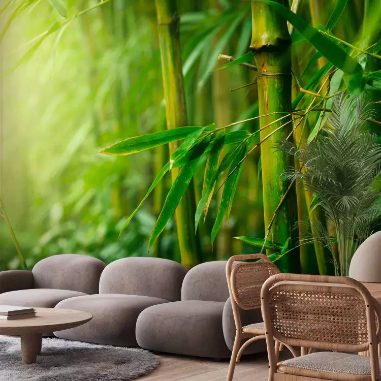 Jungle - bamboo