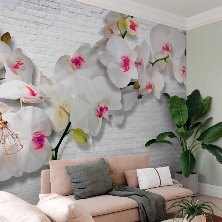 Wall Mural Wall full of orchids