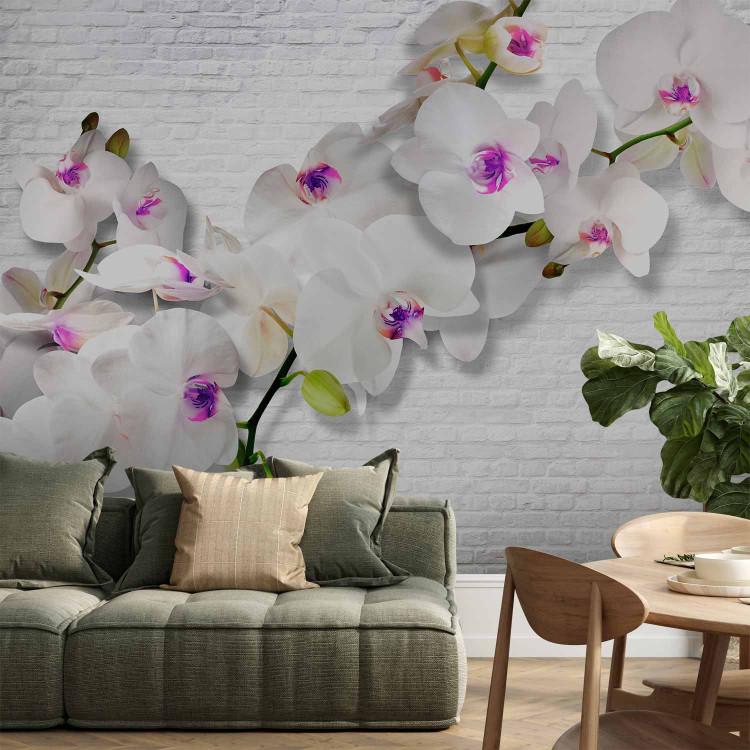 Wall Mural Wall and Nature - Orchid flower with buds against a brick white wall