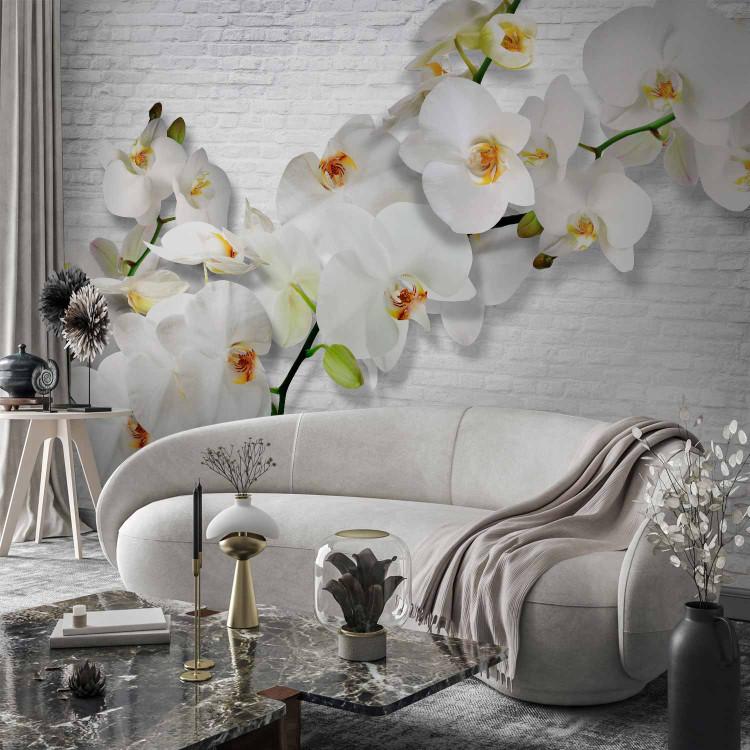 Wall Mural Blooming Nature - Composition with orchid and buds on a white wall background