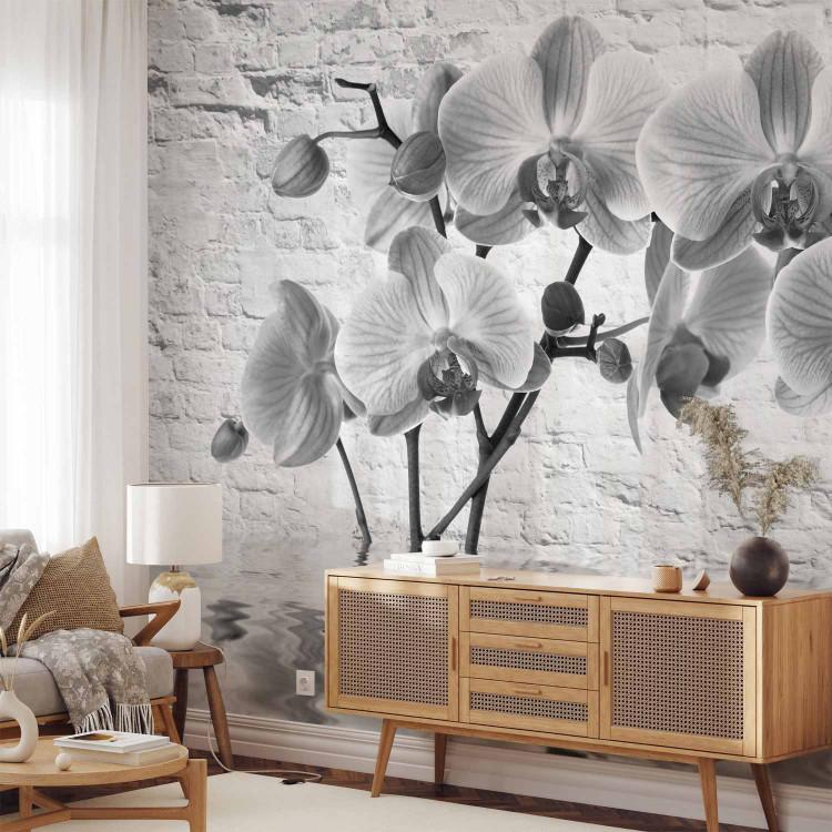 Wall Mural Submerged Flowers - composition with orchids in water against a backdrop of a wall