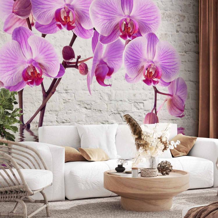 Wall Mural Purple Delight - orchids submerged in water against a backdrop of a white wall