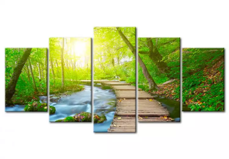 Canvas Print Sunny Forest