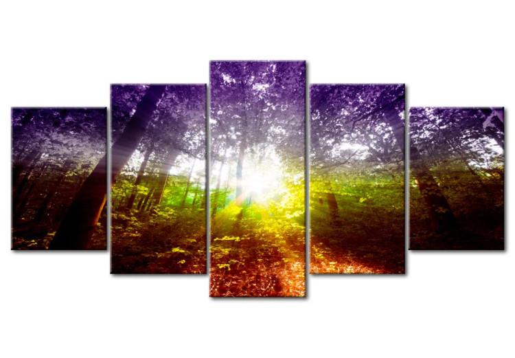 Canvas Print Rainbow Forest