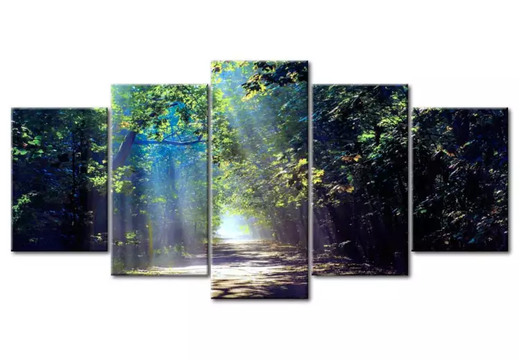 Canvas Print Sunny Forest Path
