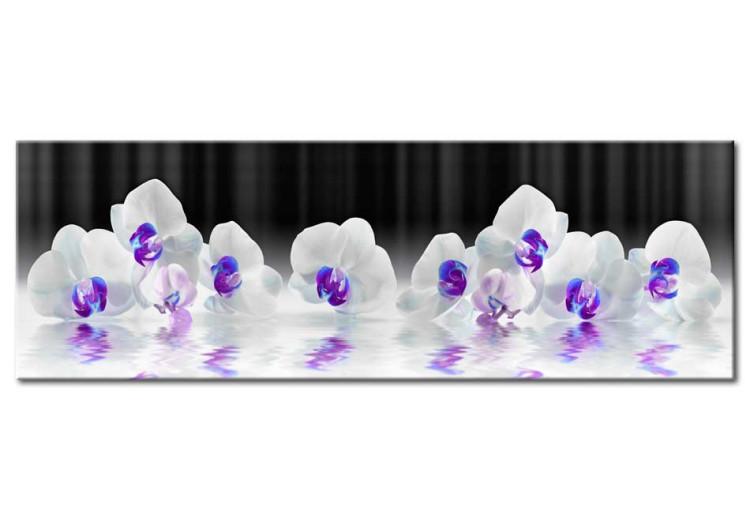 Canvas Print  Water Orchids