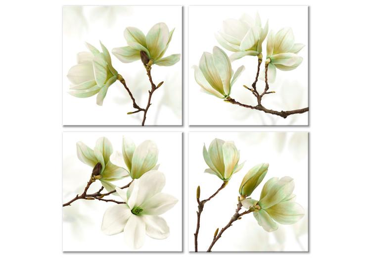 Canvas Print Admiration of Magnolia