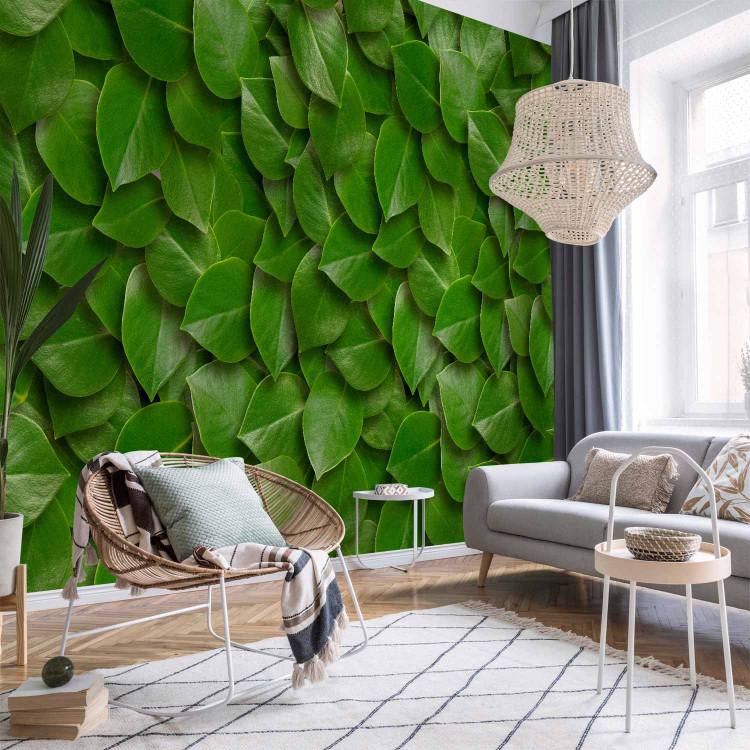 Wall Mural Breath of nature - uniform background in a pattern of stacked green tree leaves