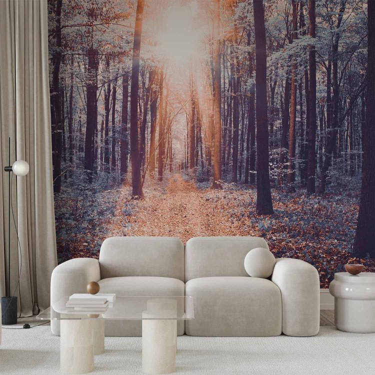 Wall Mural Forest Landscape - Path in Forest with Leaves in Retro Style