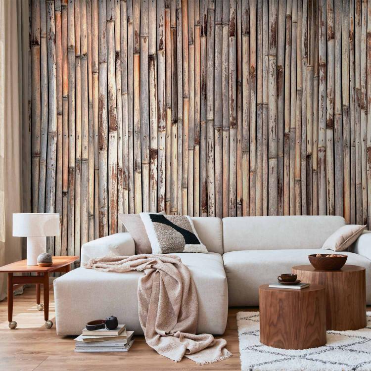 Wall Mural Asian Plant Background - Wooden Design with Gray Dried Bamboo