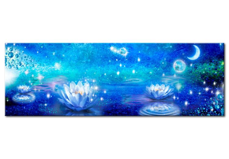 Canvas Print Fairy lake - night landscape with lilies floating in the water