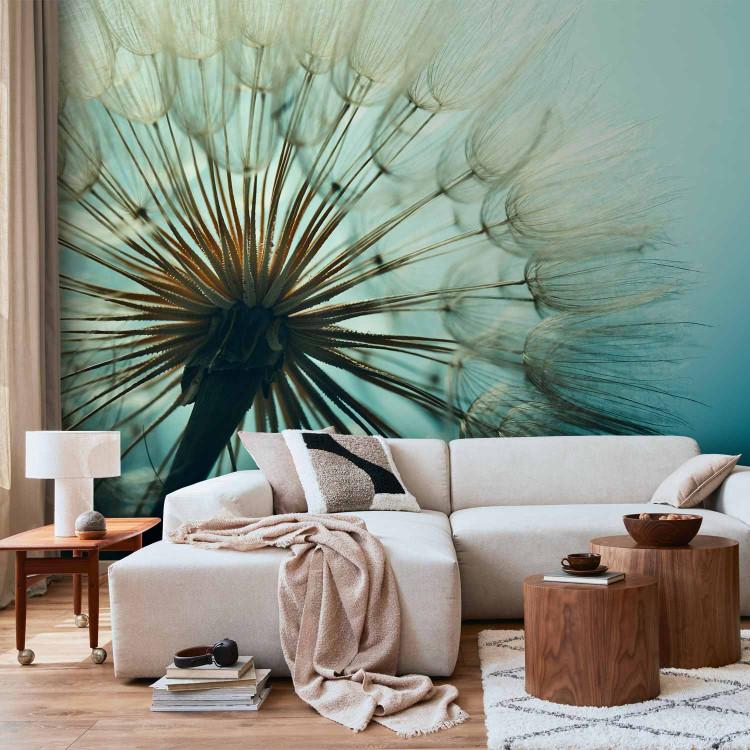 Wall Mural Blue enchantment - close-up of dandelion flowers on a blurred background