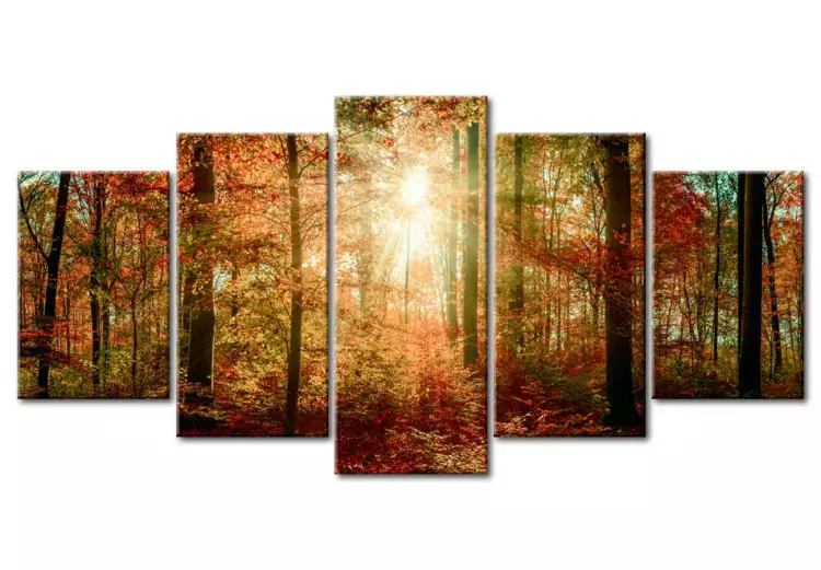 Canvas Print Autumn Wilderness