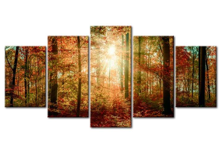 Canvas Print Autumn Wilderness