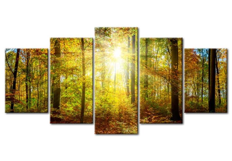 Canvas Print Mystical Forest 