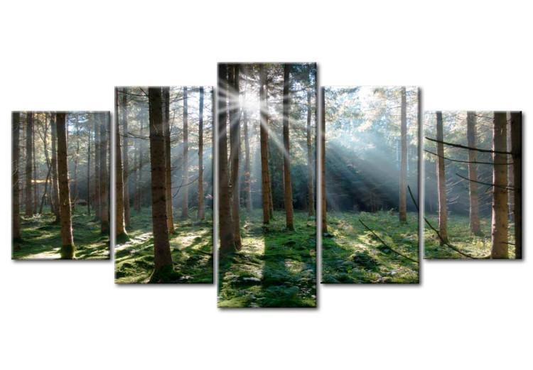 Canvas Print Fairytale Forest 