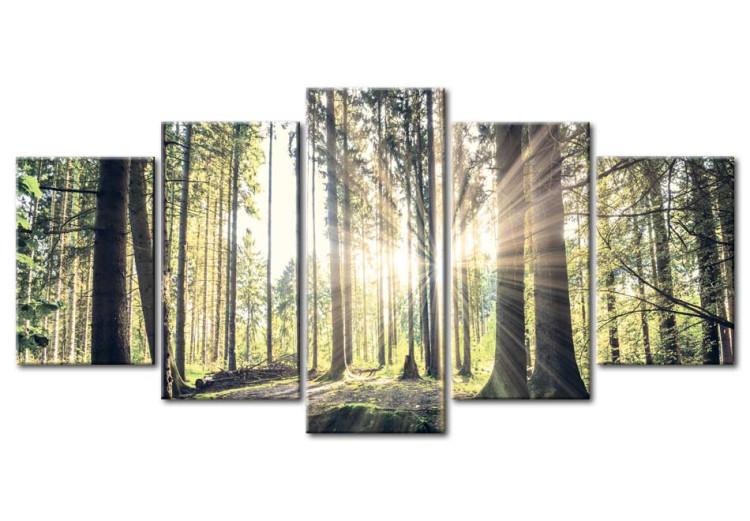 Canvas Print Forest Temple
