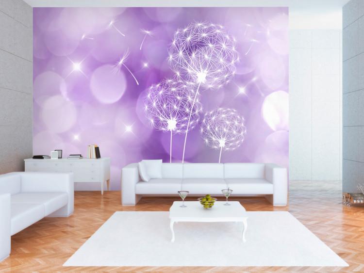 Wall Mural Flowers in the wind - outline of dandelions on a purple background in sunlight