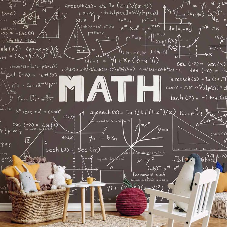 Wall Mural Mathematics - blackboard with writing and mathematical formulas for a room