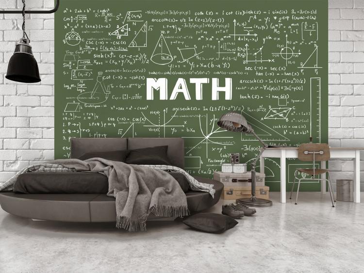 Wall Mural Mathematical Formulas
