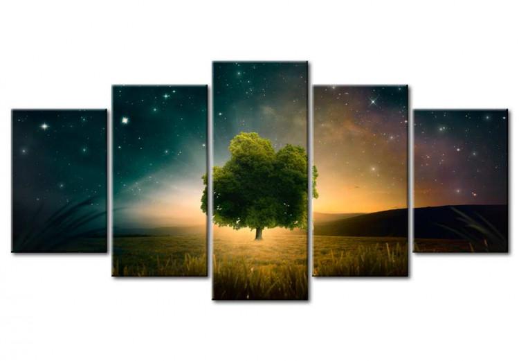 Canvas Print Valley of Stars
