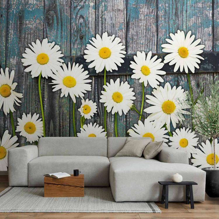 Wall Mural Floral motif - daisies on a board background in shades of blue