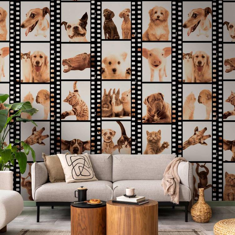 Wallpaper Animal Proper Frame